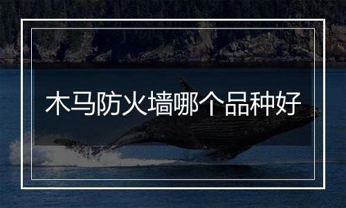 木马防火墙哪个品种好