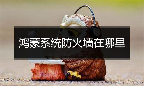 鸿蒙系统防火墙在哪里