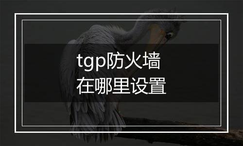 tgp防火墙在哪里设置
