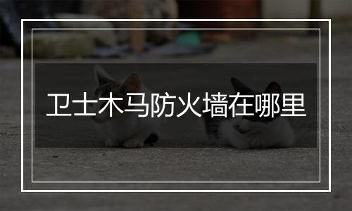 卫士木马防火墙在哪里