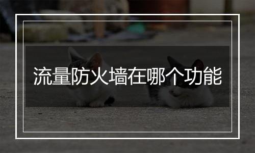 流量防火墙在哪个功能