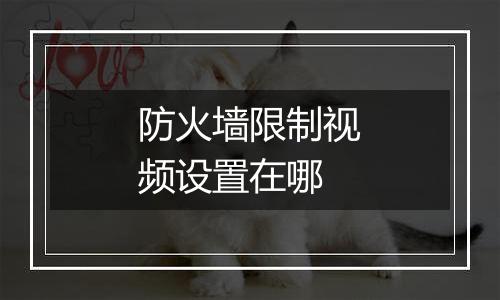 防火墙限制视频设置在哪