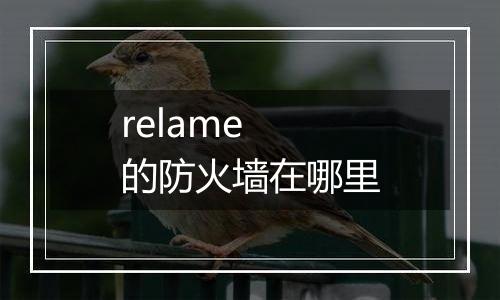 relame 的防火墙在哪里