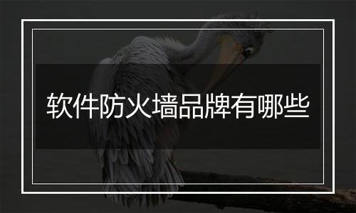 软件防火墙品牌有哪些
