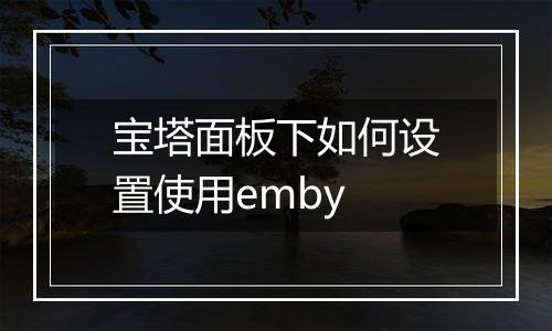 宝塔面板下如何设置使用emby