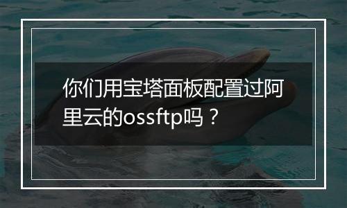 你们用宝塔面板配置过阿里云的ossftp吗？