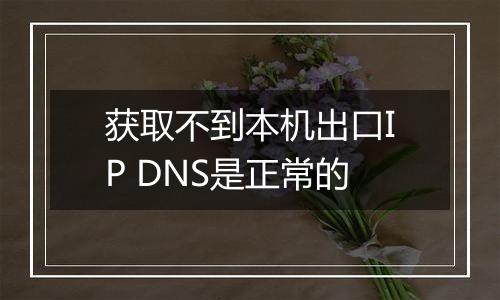 获取不到本机出口IP DNS是正常的