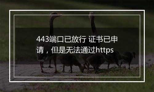 443端口已放行 证书已申请,但是无法通过https