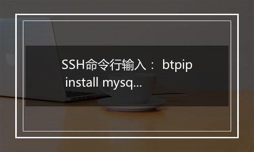SSH命令行输入： btpip install mysql-python