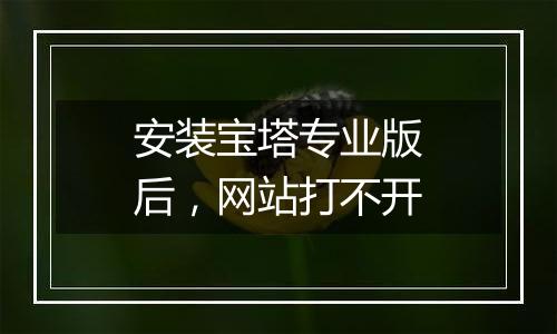安装宝塔专业版后,网站打不开