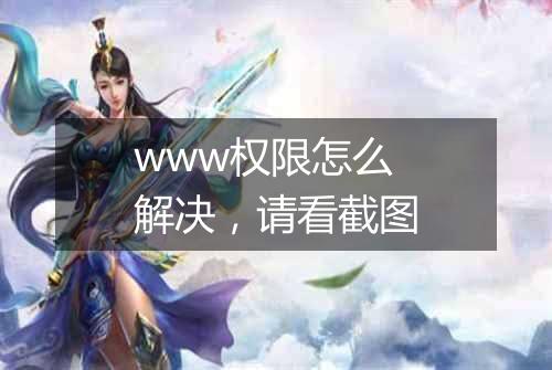 www权限怎么解决，请看截图