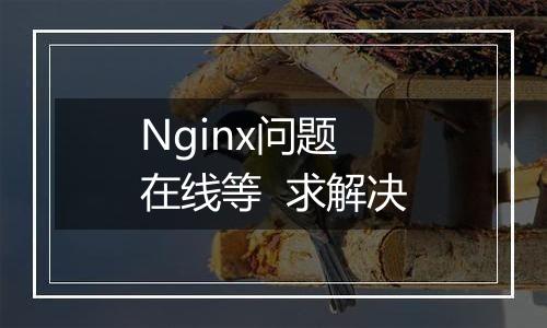 Nginx问题 在线等  求解决
