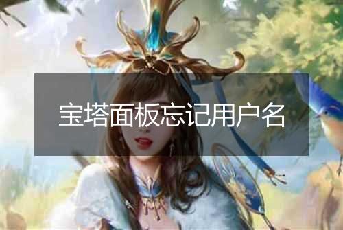 宝塔面板忘记用户名
