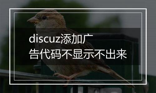 discuz添加广告代码不显示不出来