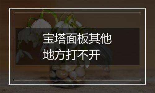 宝塔面板其他地方打不开