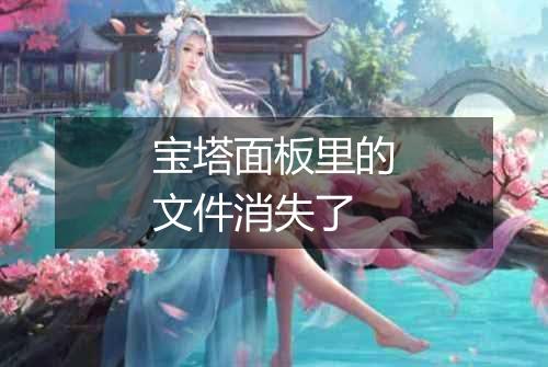 宝塔面板里的文件消失了