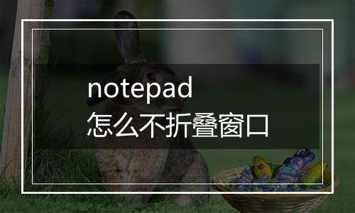 notepad怎么不折叠窗口