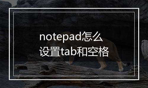 notepad怎么设置tab和空格