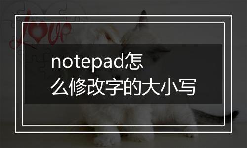 notepad怎么修改字的大小写