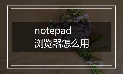 notepad浏览器怎么用