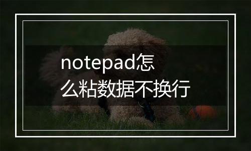 notepad怎么粘数据不换行