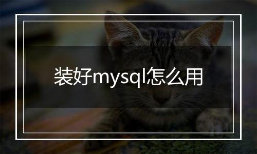 装好mysql怎么用