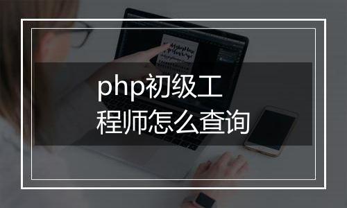 php初级工程师怎么查询