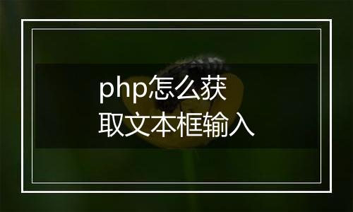 php怎么获取文本框输入