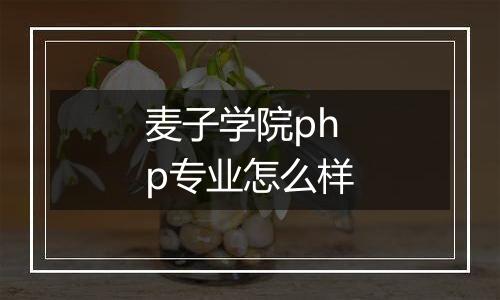 麦子学院php专业怎么样