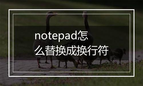 notepad怎么替换成换行符
