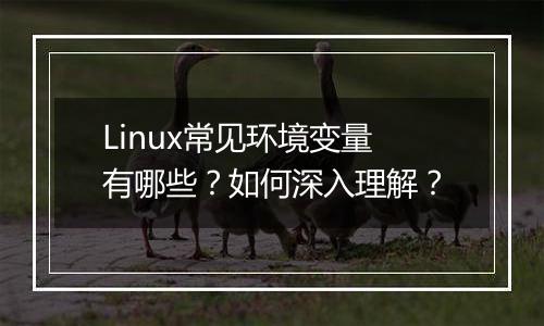 Linux常见环境变量有哪些？如何深入理解？