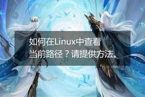 如何在Linux中查看当前路径?请提供方法。