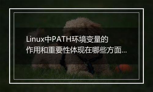 Linux中PATH环境变量的作用和重要性体现在哪些方面?