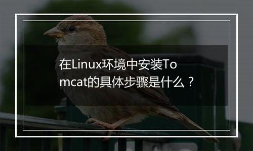 在Linux环境中安装Tomcat的具体步骤是什么?