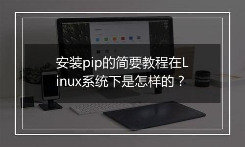 安装pip的简要教程在Linux系统下是怎样的?