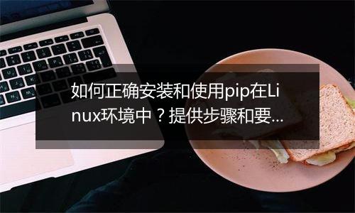 如何正确安装和使用pip在Linux环境中?提供步骤和要点。
