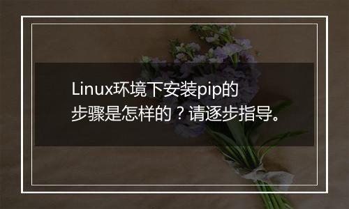 Linux环境下安装pip的步骤是怎样的?请逐步指导。