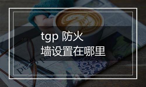 tgp 防火墙设置在哪里