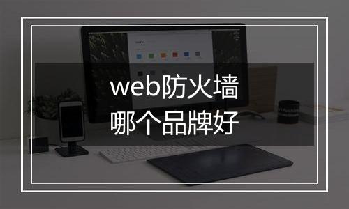 web防火墙哪个品牌好