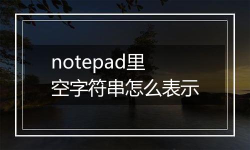 notepad里空字符串怎么表示