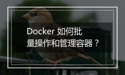 Docker 如何批量操作和管理容器？