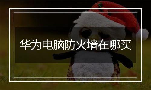华为电脑防火墙在哪买