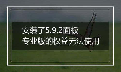 安装了5.9.2面板专业版的权益无法使用