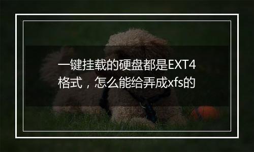 一键挂载的硬盘都是EXT4格式,怎么能给弄成xfs的