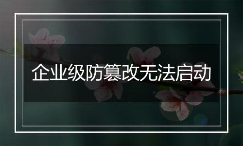 企业级防篡改无法启动