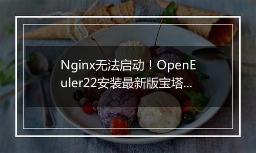 Nginx无法启动！OpenEuler22安装最新版宝塔面板7.9.4