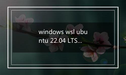 windows wsl ubuntu 22.04 LTS 安装启动报错