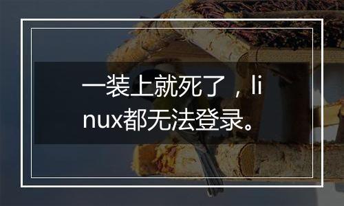一装上就死了,linux都无法登录。