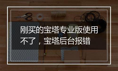 刚买的宝塔专业版使用不了,宝塔后台报错