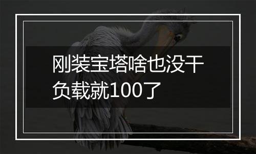 刚装宝塔啥也没干负载就100了